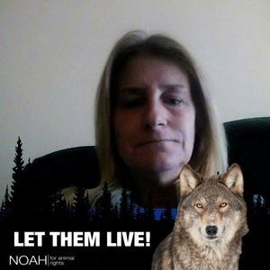 Meet your Posher, Teri